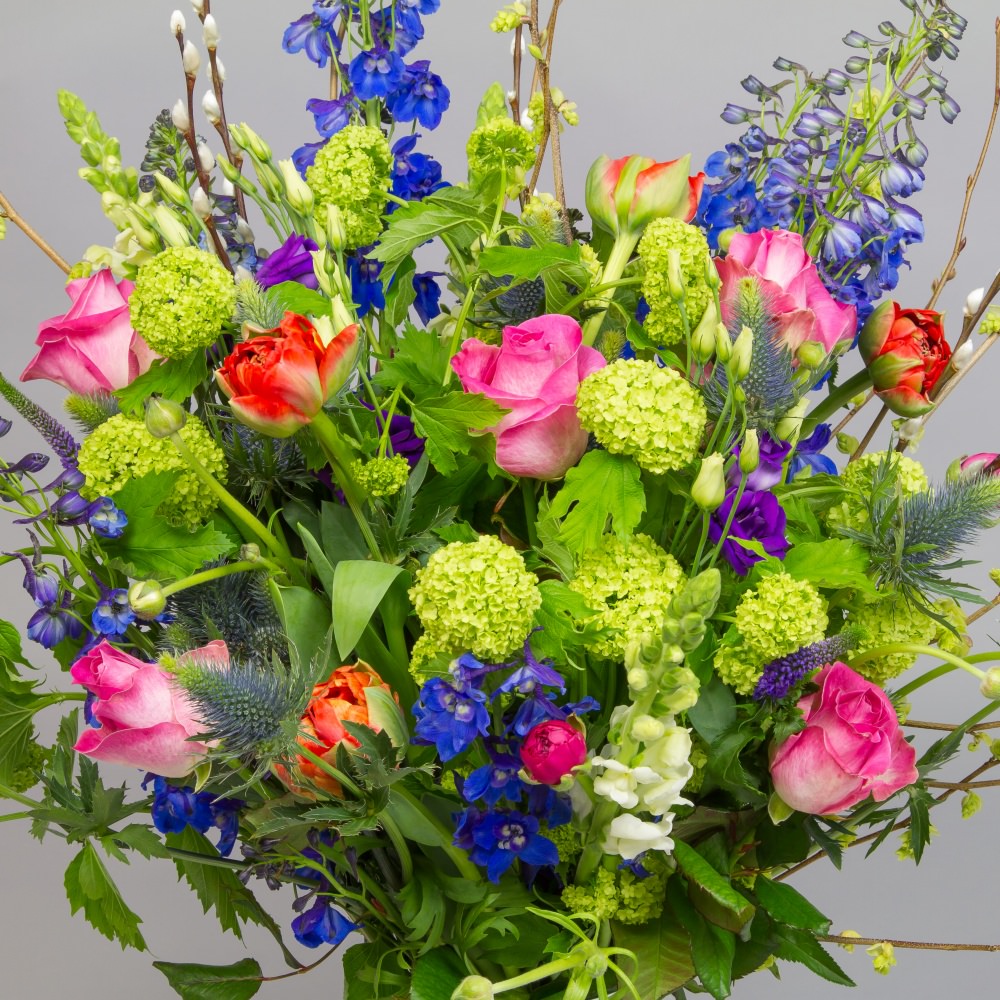 Delphinium Veldboeket - Afbeelding 3