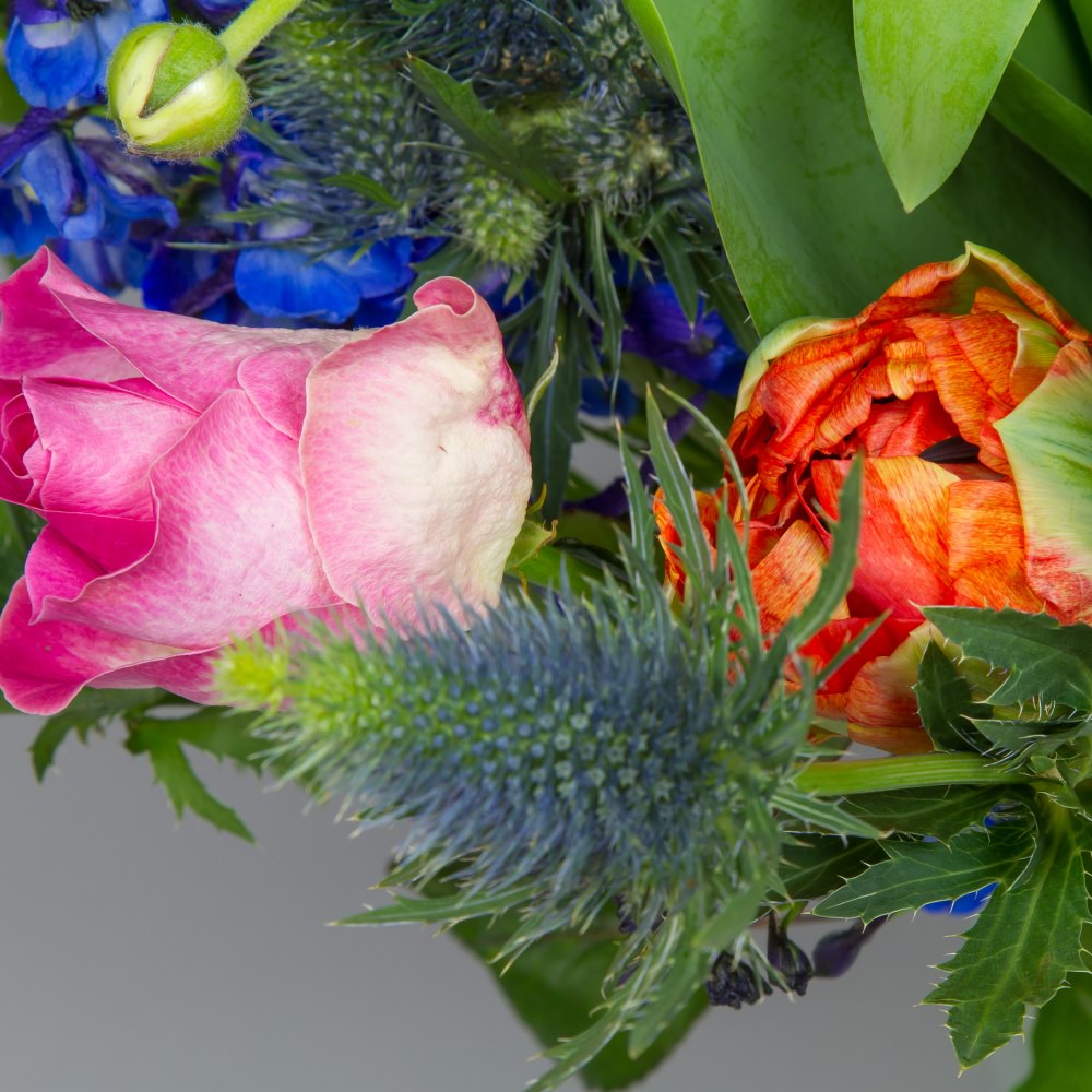 Delphinium Veldboeket - Afbeelding 5
